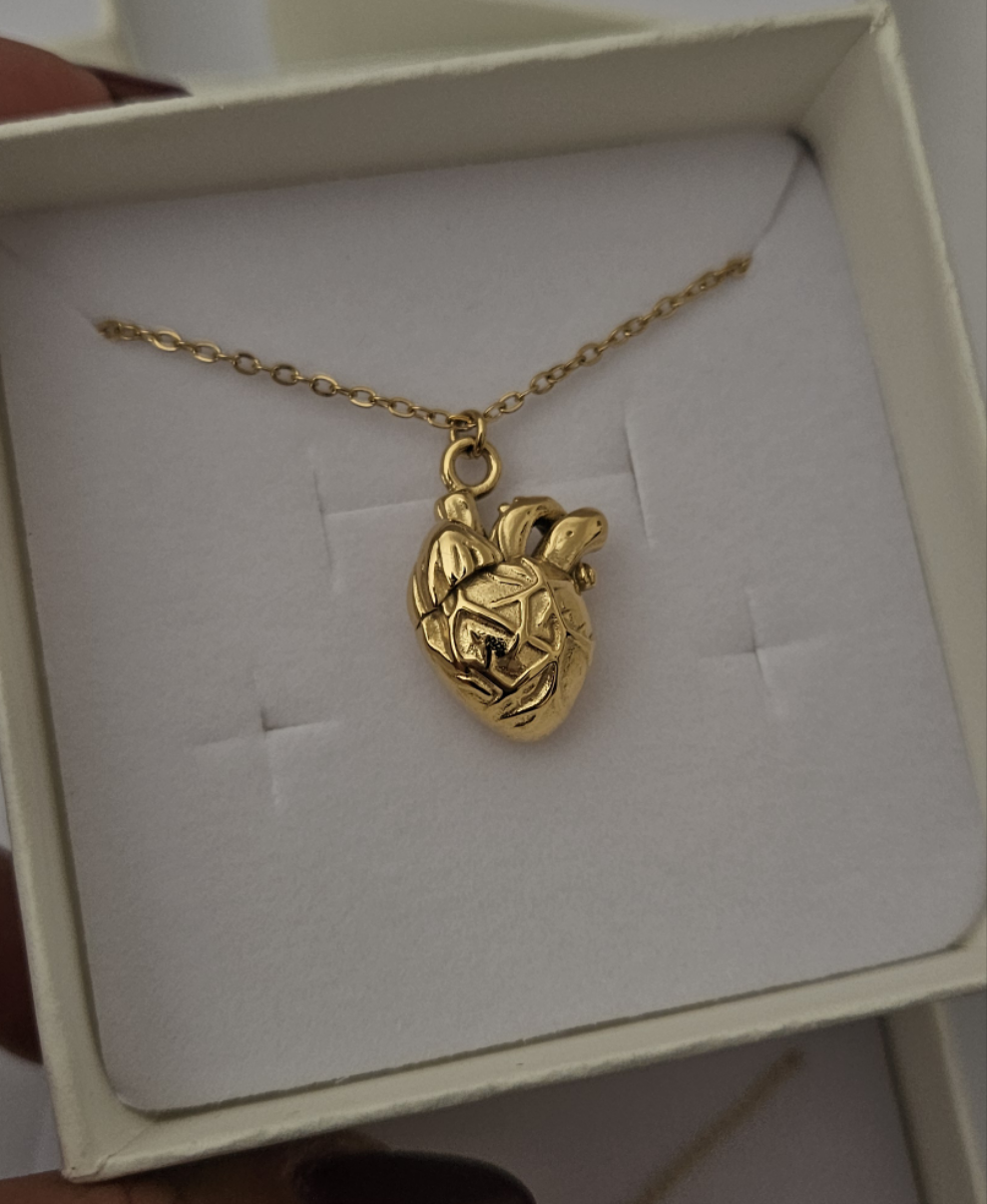 Collana cuore anatomico in 3D