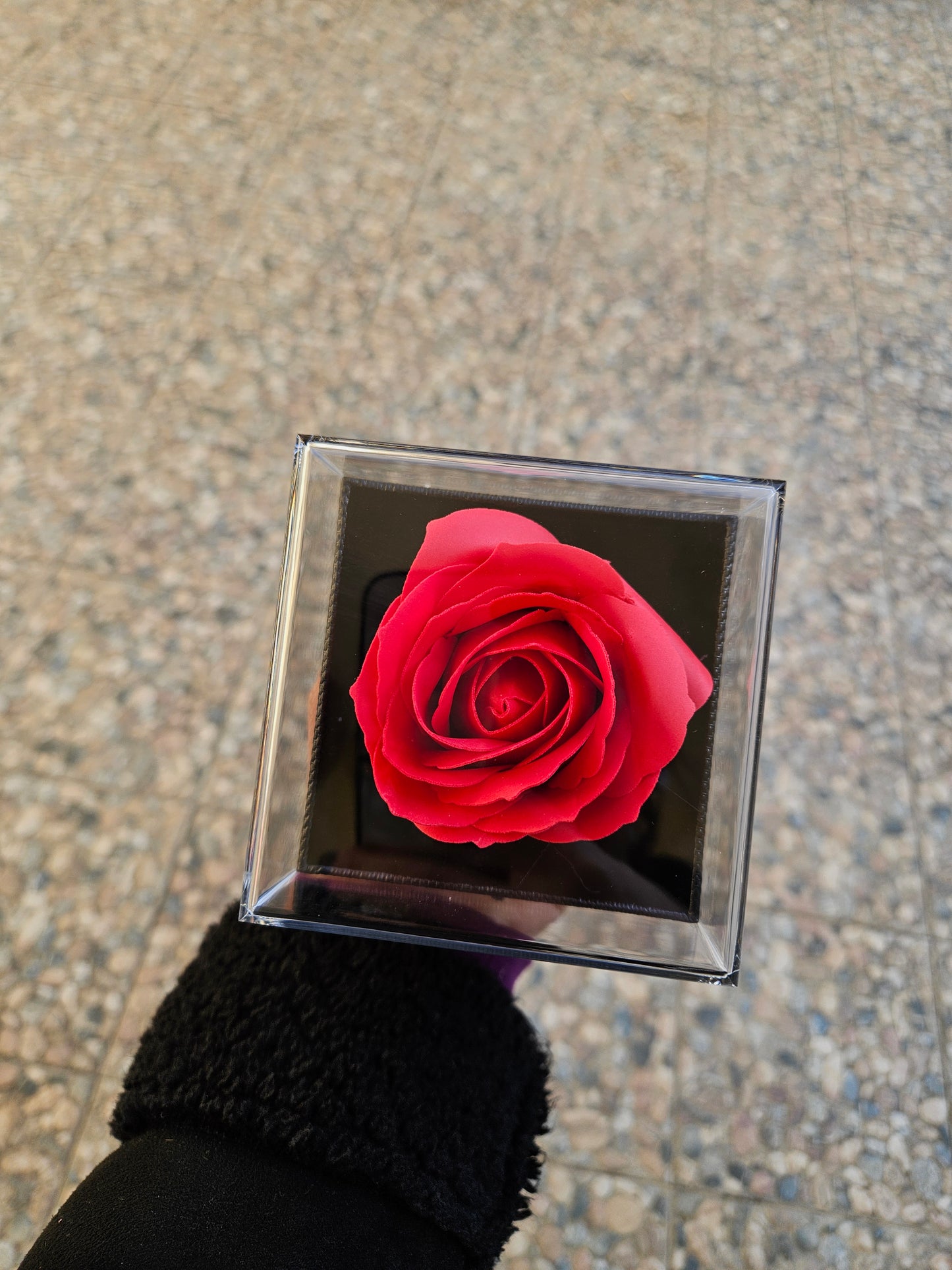 Box con rosa e cassetto,con collana cuore apribile 2x2 .