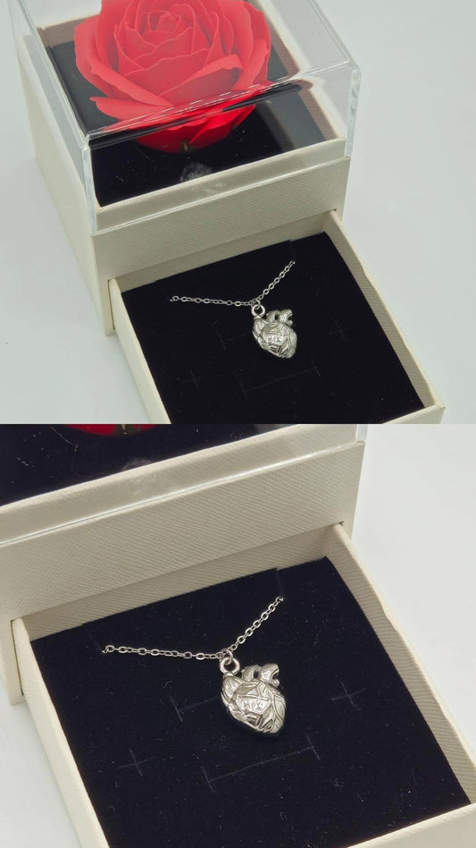 Confezione con collana cuore anatomico 3D